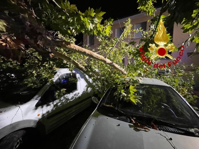 Paura per il vento: albero crolla sulle auto in sosta