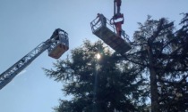 Giardinieri bloccati su un albero a 20 metri di altezza, salvati dai pompieri