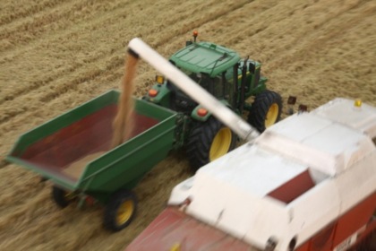 Crisi idrica: l’appello del sindaco a nome degli agricoltori