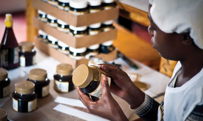 Con CSC Compagnia Svizzera Cauzioni investire in Africa è più semplice.