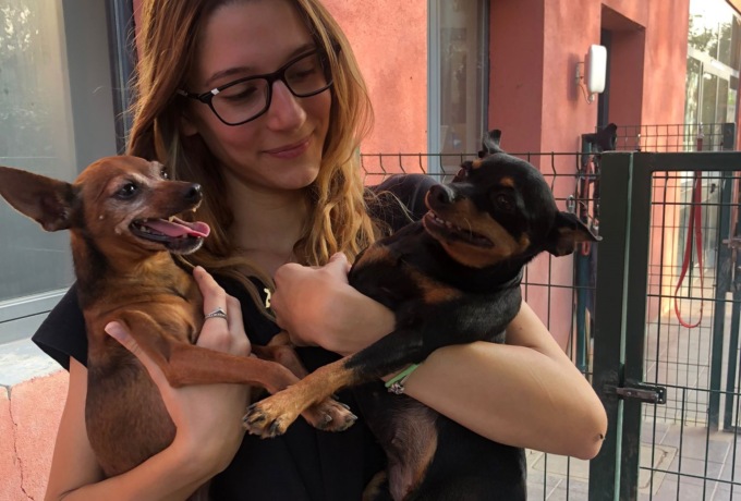 Abbandonati sul balcone soli, il Comune li adotta