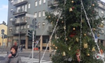 Albero di Natale da 5mila euro...ma si diminuiscono le luminarie in paese