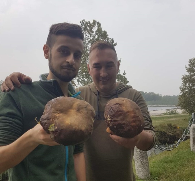 Porcini neri trovati nel Parco del Ticino