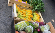 Settecento chili di frutta e verdura sequestrati al mercato dall'inizio dell'anno