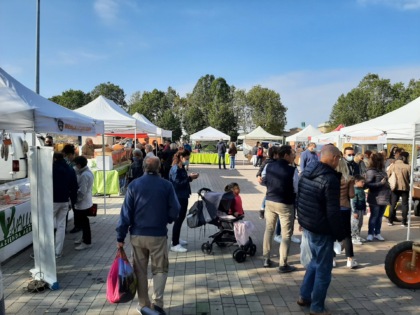 Cosa fare a Milano e provincia nel weekend: gli eventi di sabato 14 e domenica 15 marzo 2026