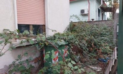 Erbacce, rifiuti e topi nella casa abbandonata: adesso i residenti di via Ticino dicono «basta»