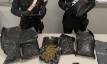 Pacco sospetto dagli Usa: dentro c'erano oltre 3 chili di droga