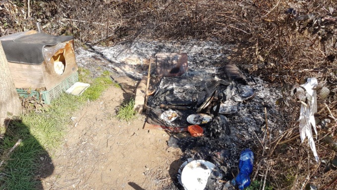 Bruciata una colonia felina: si cercano i responsabili