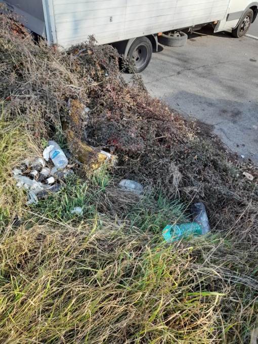 I volontari puliscono la zona Bartolini a Sedriano