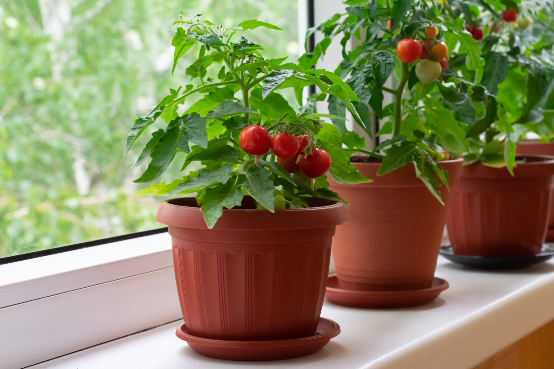 YIKANGHENG Pomodori Ciliegini Artificiali Rossi - 16 Pezzi Su Rami Per Decorazione Casa E Festa
