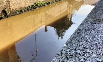 Il colore dell’Olona : allarme rientrato