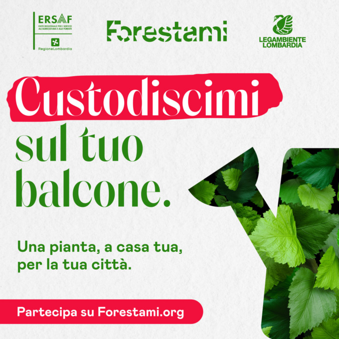 Ritorna “Custodiscimi”: migliaia di piantine nei balconi dei cittadini