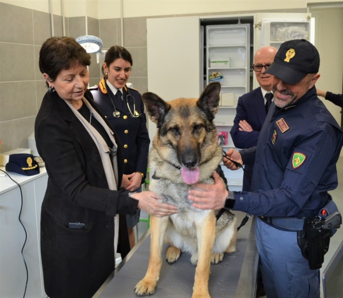 Inaugurata la prima clinica veterinaria per gli “animali poliziotto”