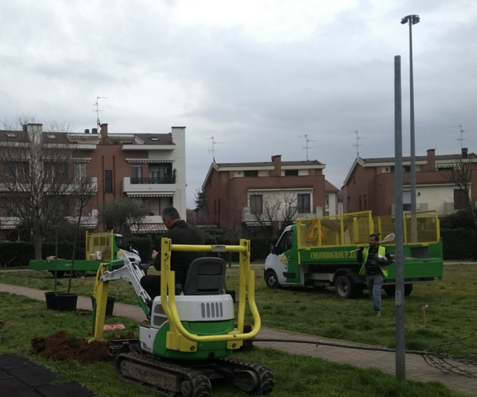 In città arrivano 32 nuovi alberi