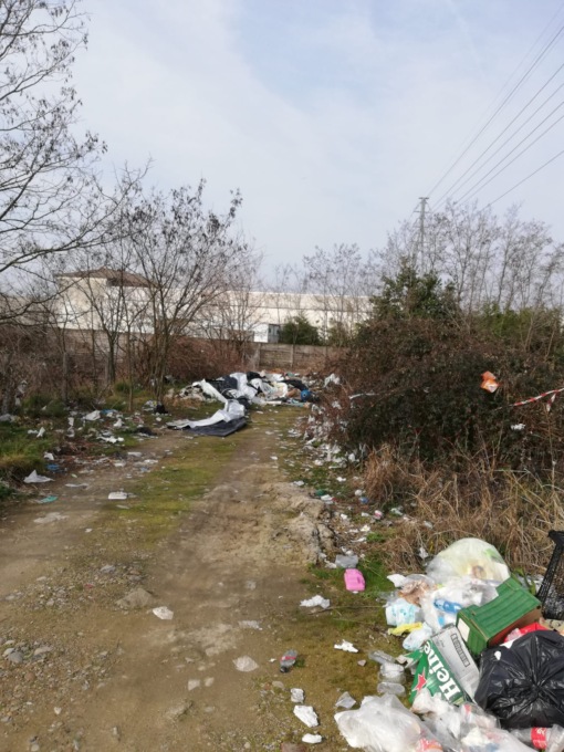 Le Sentinelle dell’Ambiente: “Dopo 3 anni di volontariato, ci arrendiamo”