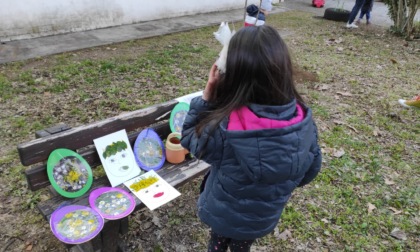 Appuntamento alla scoperta della biodiversità in città