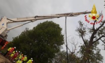 Cadono da 15 metri mentre stanno potando un albero: morti due operai, uno in fin di vita