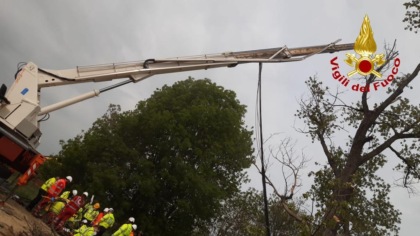 Cadono da 15 metri mentre stanno potando un albero: morti due operai, uno in fin di vita