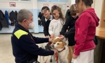 Pet therapy nelle scuole: Principessa Emma ed Eva la Monella tornano tra i bambini