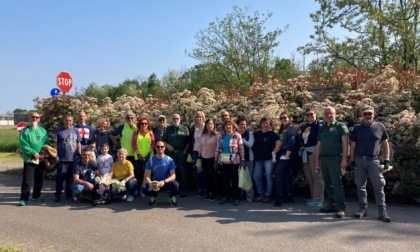 Un cassone di rifiuti raccolti nel Bosco del Rugareto