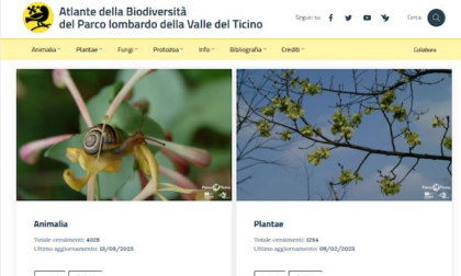 E' online il portale delle biodiversità del Parco del Ticino