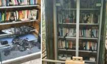 Libreria incendiata dai vandali sistemata dagli utenti del parco