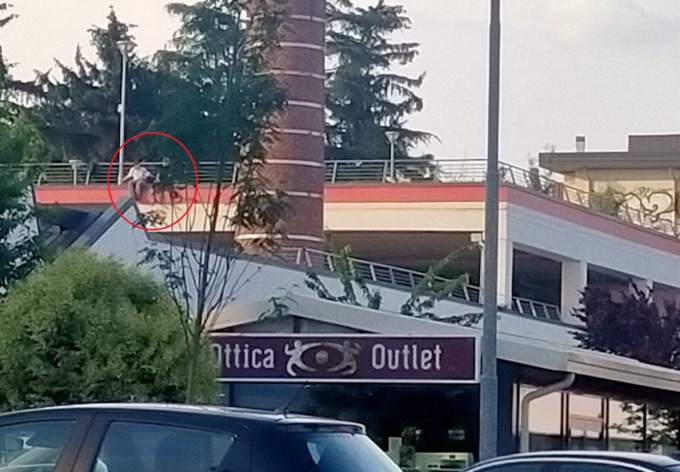 Ragazzi sul tetto del parco commerciale