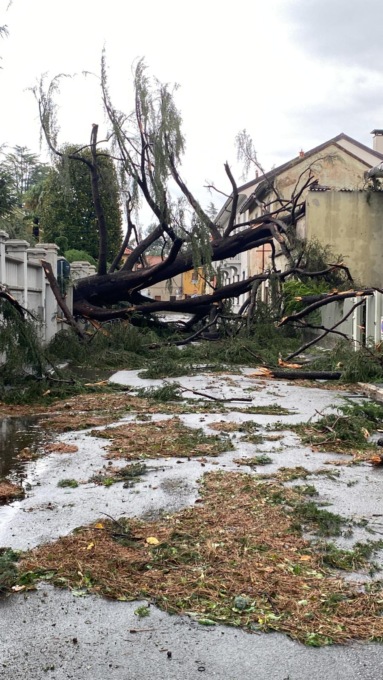 Strade nel caos, alberi caduti e municipio e biblioteca invasi dall’acqua: una Parabiago in ginocchio