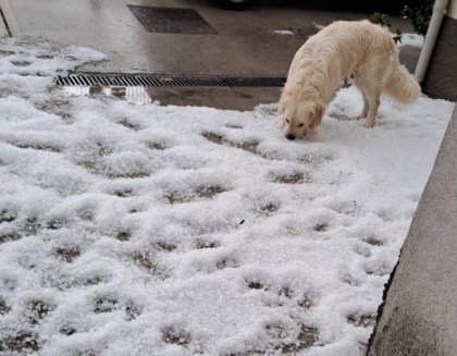 Grandinata su Assago, le strade s’imbiancano