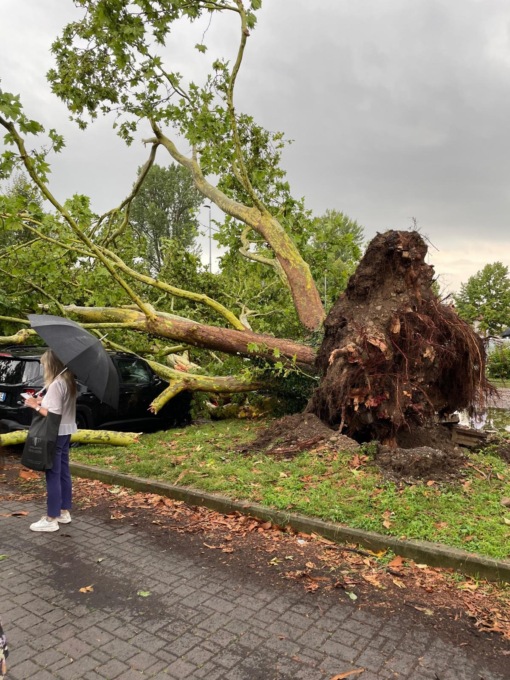 Legnanese e Alto Milanese flagellati dal maltempo: cantine allagate, tetti scoperchiati e alberi caduti