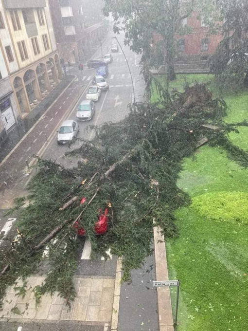 Vietato l’accesso in tutti i parchi e i giardini pubblici