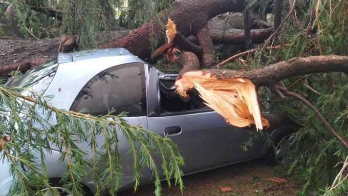 Tromba d’aria su Arconate: tetti scoperchiati, alberi caduti e auto distrutte