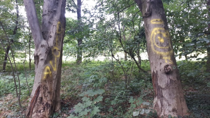 Vandali al parco: con la bomboletta imbrattano anche gli alberi