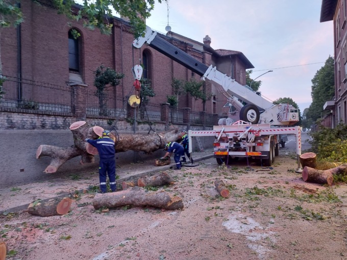 Altro albero rimosso: operai al lavoro a Legnano