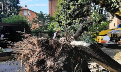 Maltempo: Legnano segnala danni per oltre 1 milione e 600mila euro