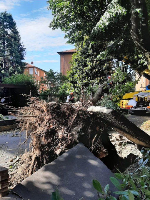 Maltempo: Legnano segnala danni per oltre 1 milione e 600mila euro