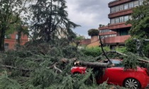 Allerta meteo: Protezione civile al lavoro in tutta la Provincia