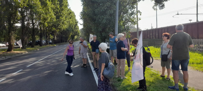 Pioppi cipressini di Vittuone, confronto tra Legambiente e Comune