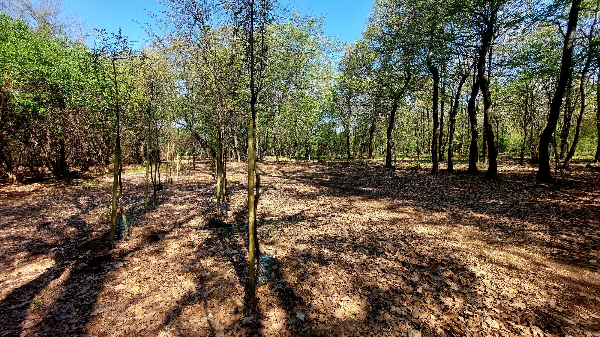 Parco alto milanese