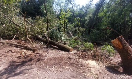 Parco dell'Alto Milanese: continua il lavoro dopo i nubifragi di luglio