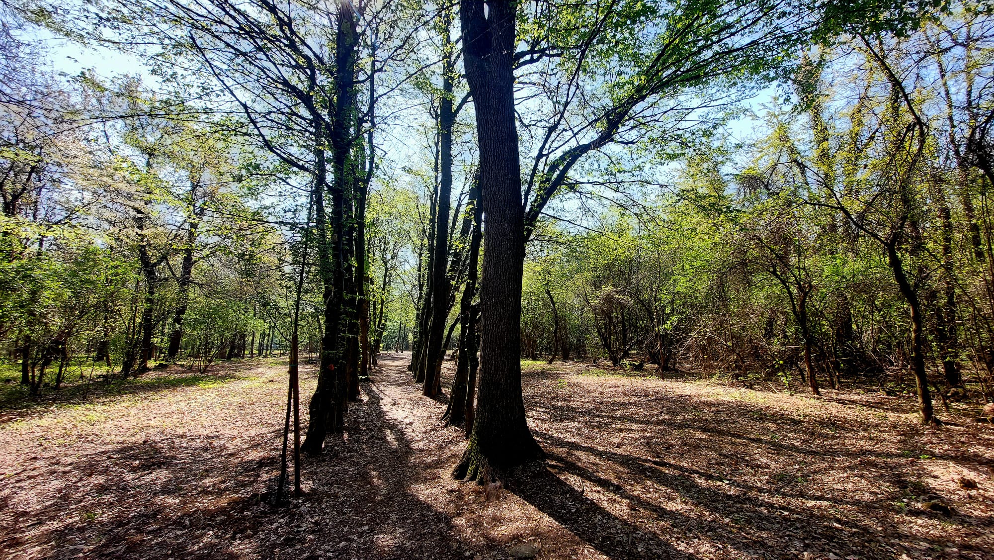 Parco alto milanese