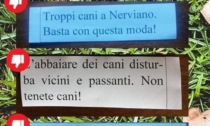 Bigliettini anonimi contro i cani nella posta, paura in paese