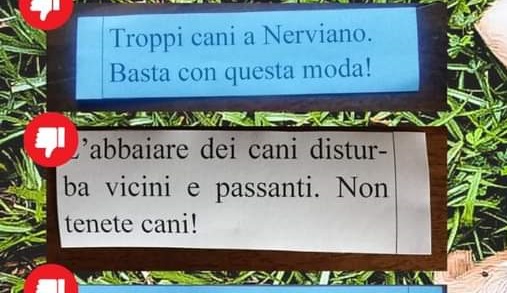Bigliettini anonimi contro i cani nella posta, paura in paese