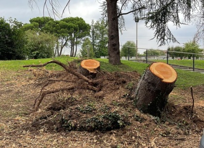 Rimossi gli alberi abbattuti dal maltempo, riapre il Cimitero Parco