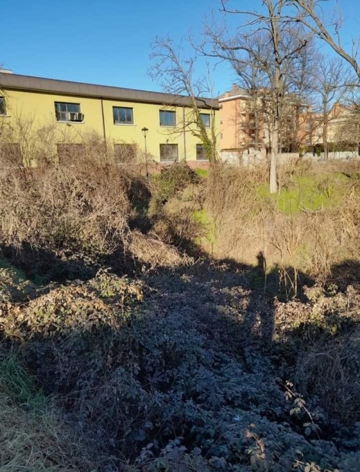 Riqualificazione del Fontanile “Della Casa”