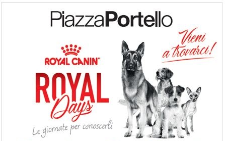 A Piazza Portello due giorni dedicati al benessere dei pet