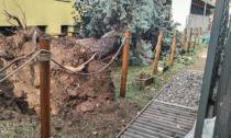 Tromba d'aria sul rhodense: albero caduto a scuola e decine di danni sul territorio