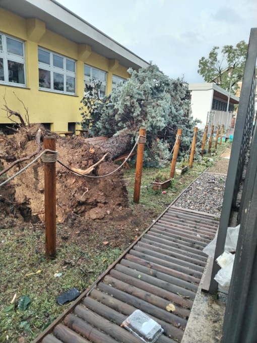 Tromba d’aria sul rhodense: albero caduto a scuola e decine di danni sul territorio