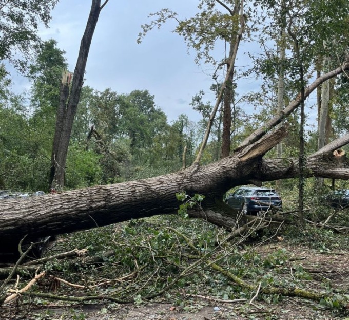 Transito limitato zona sponde del Ticino