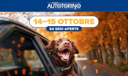 C’è voglia di auto, dove scegliere? Nelle filiali Autotorino, tutte aperte anche domenica 15 ottobre